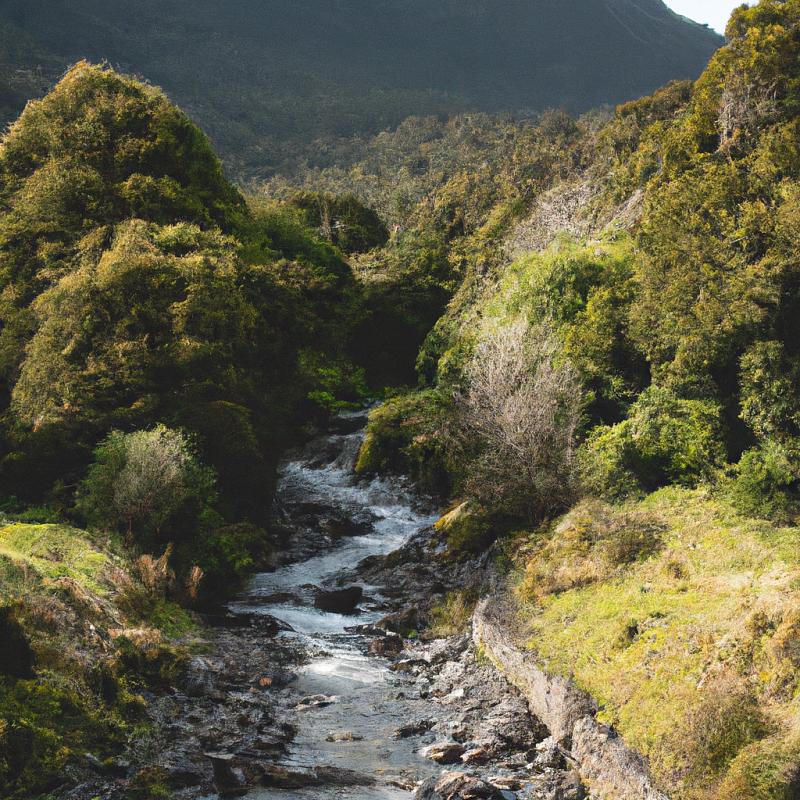 Biosférický ráj Nového Zélandu: Nečekané objevy v divočině. - foto 1
