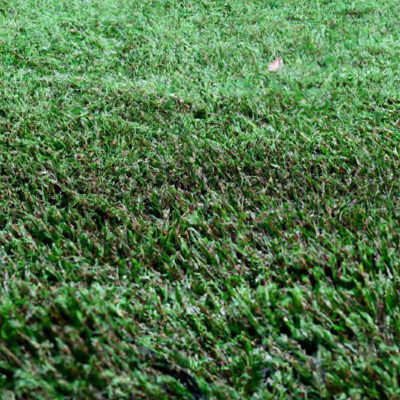 Tajemství záhadně rostoucího trávníku konečně odhaleno: je to vlastně umělý koberec! - foto 2