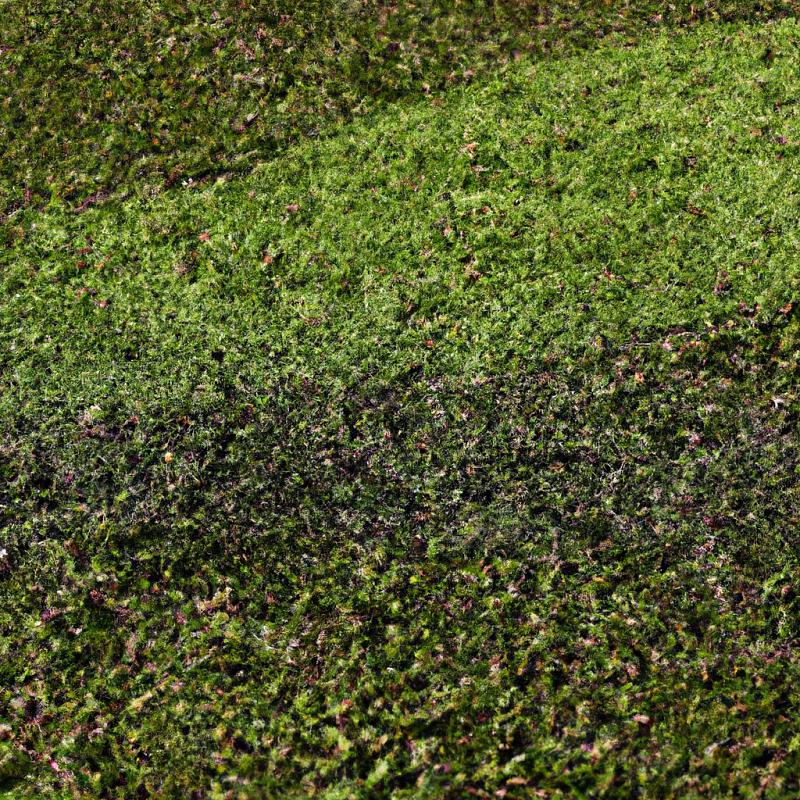 Tajemství záhadně rostoucího trávníku konečně odhaleno: je to vlastně umělý koberec! - foto 3